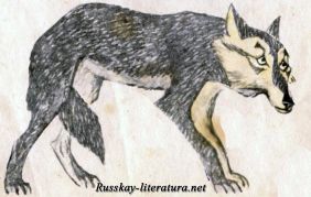 Волк и собака Толстой басня